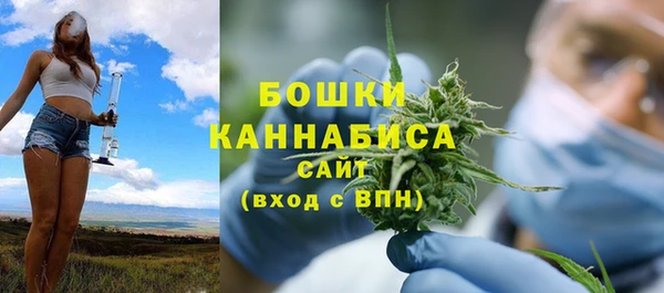 винт Няндома