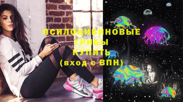 винт Няндома