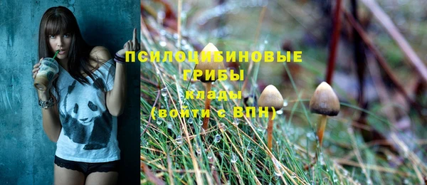 прущая мука Нязепетровск