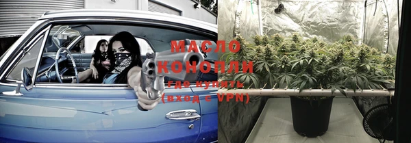 винт Няндома