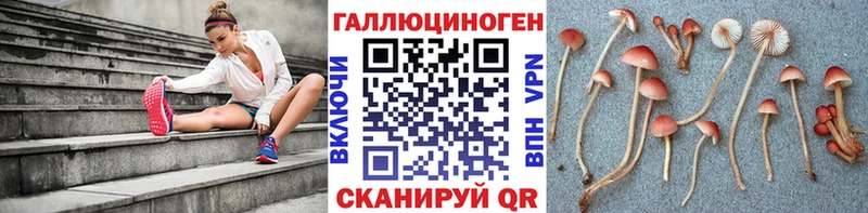 наркотики  Торопец  Галлюциногенные грибы GOLDEN TEACHER 