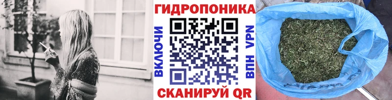 Шишки марихуана конопля Торопец